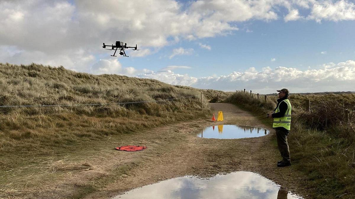 Declino delle foche comuni: la tecnologia offre nuove risposte
