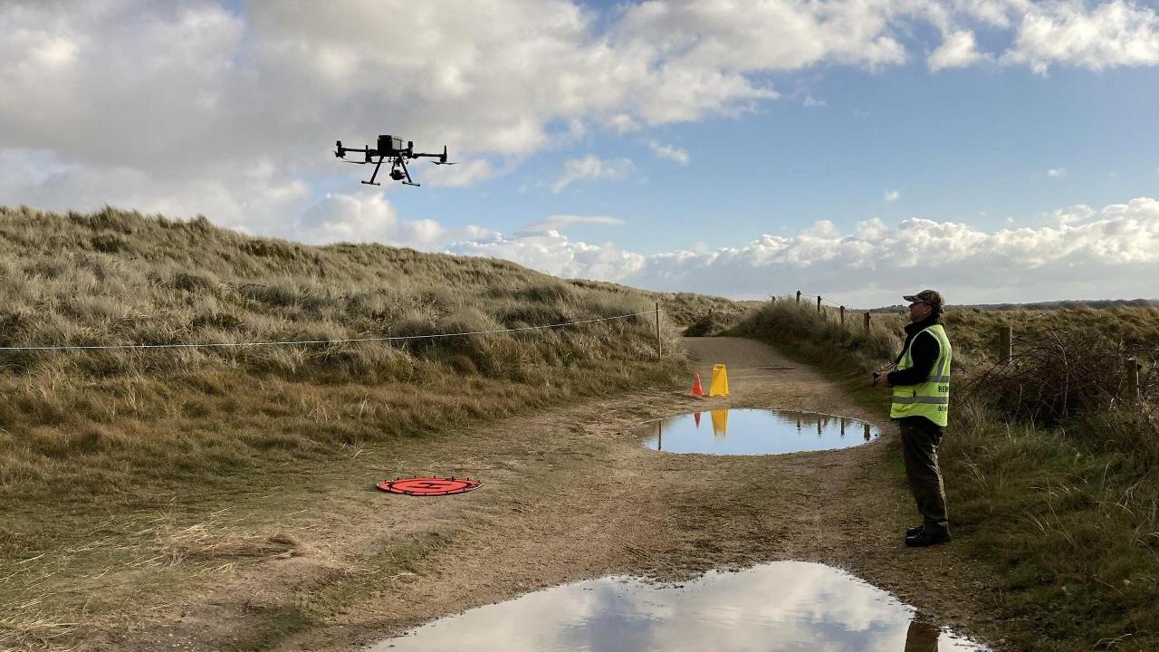 Declino delle foche comuni: la tecnologia offre nuove risposte