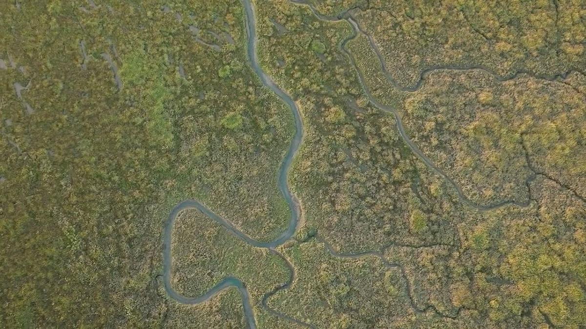 Saline del Regno Unito: risorse naturali contro il cambiamento climatico