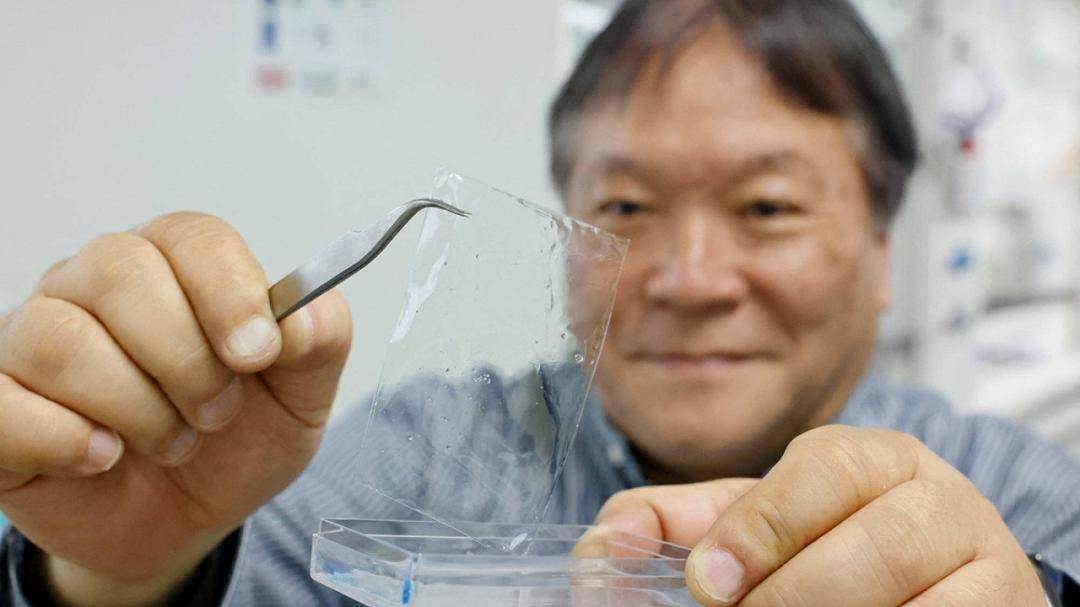 Plastica che si decompone in poche ore: la scoperta giapponese che potrebbe salvare gli oceani