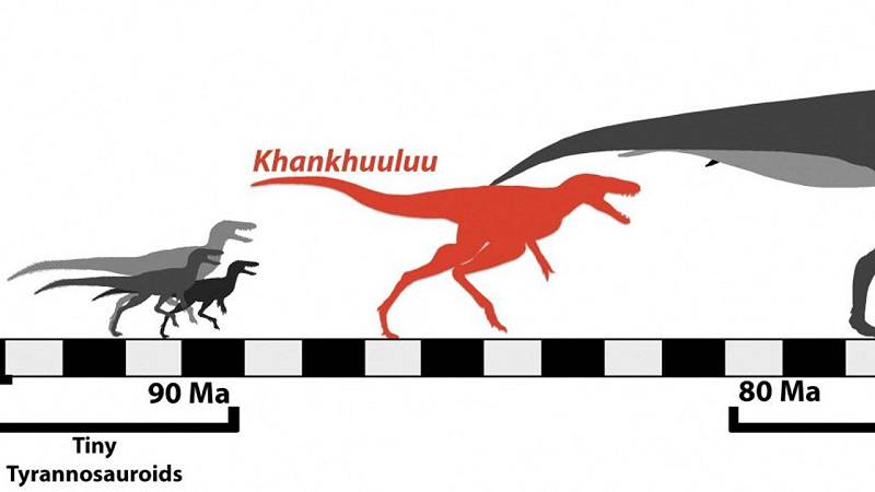 specie di dinosauro recentemente identificata, Khankhuuluu mongoliensis