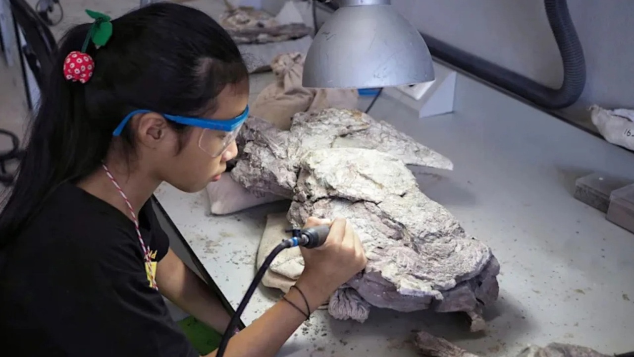Un puzzle preistorico: l’antica megafauna australiana torna alla luce