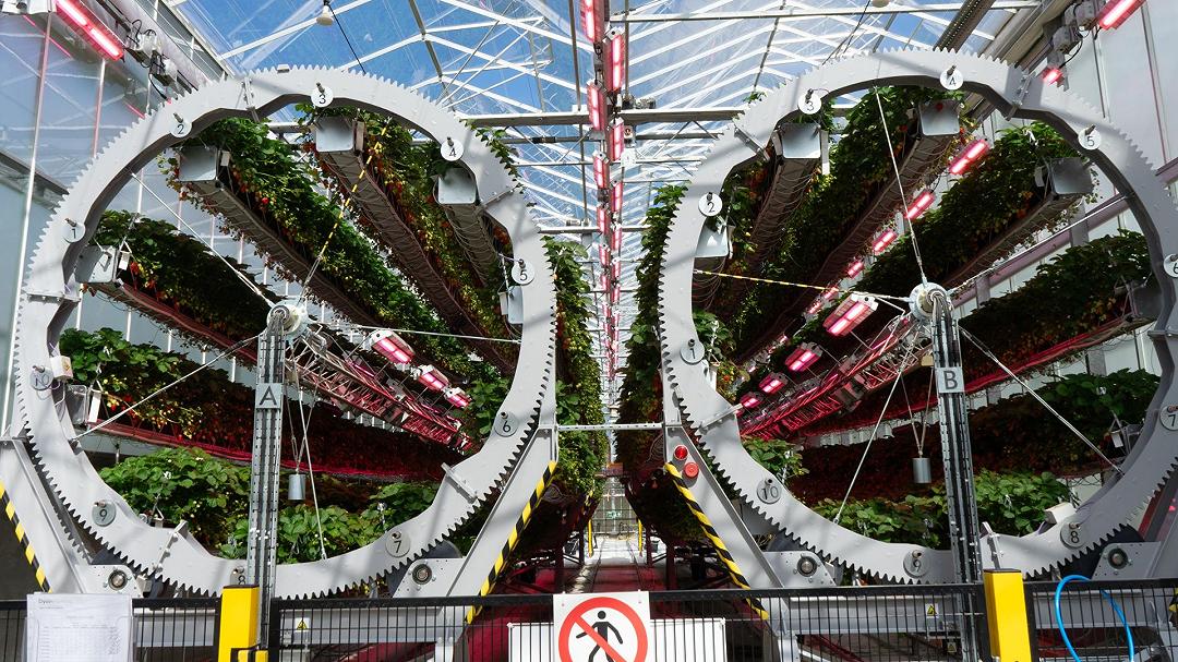 Dyson vuole rivoluzionare anche l’agricoltura