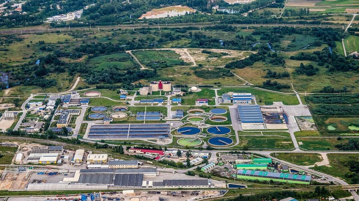 Curcuma e rabarbaro: nuovi alleati contro i batteri resistenti agli antibiotici