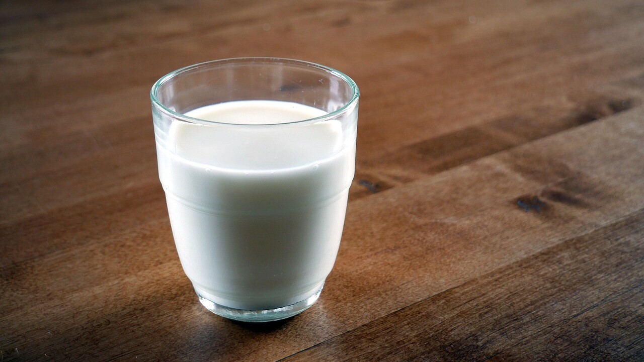 Un esperimento rivela il latte ideale per l’invecchiamento muscolare