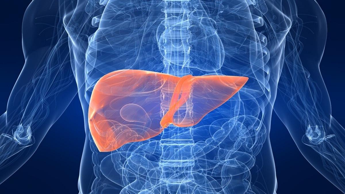 Prevenire il tumore al fegato è possibile: ecco cosa dice la ricerca