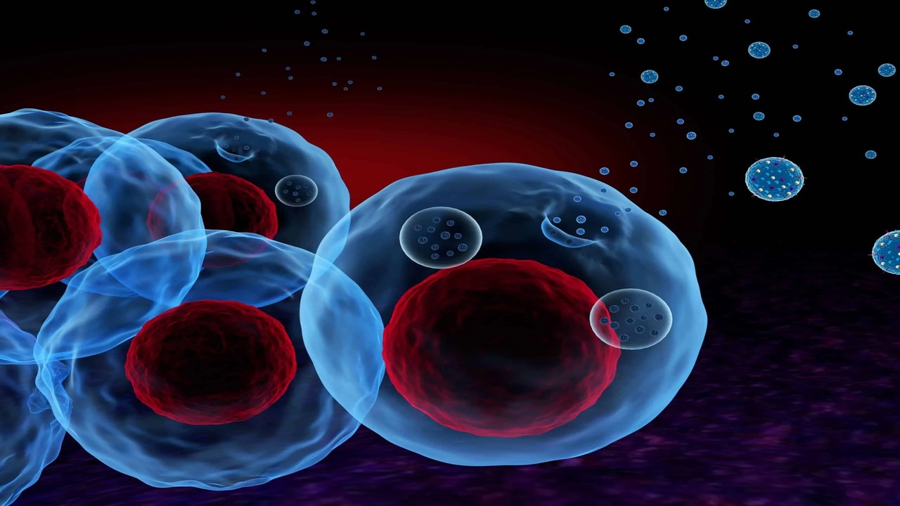 Molecole incapsulate in 10 minuti: la rivoluzione della medicina di precisione