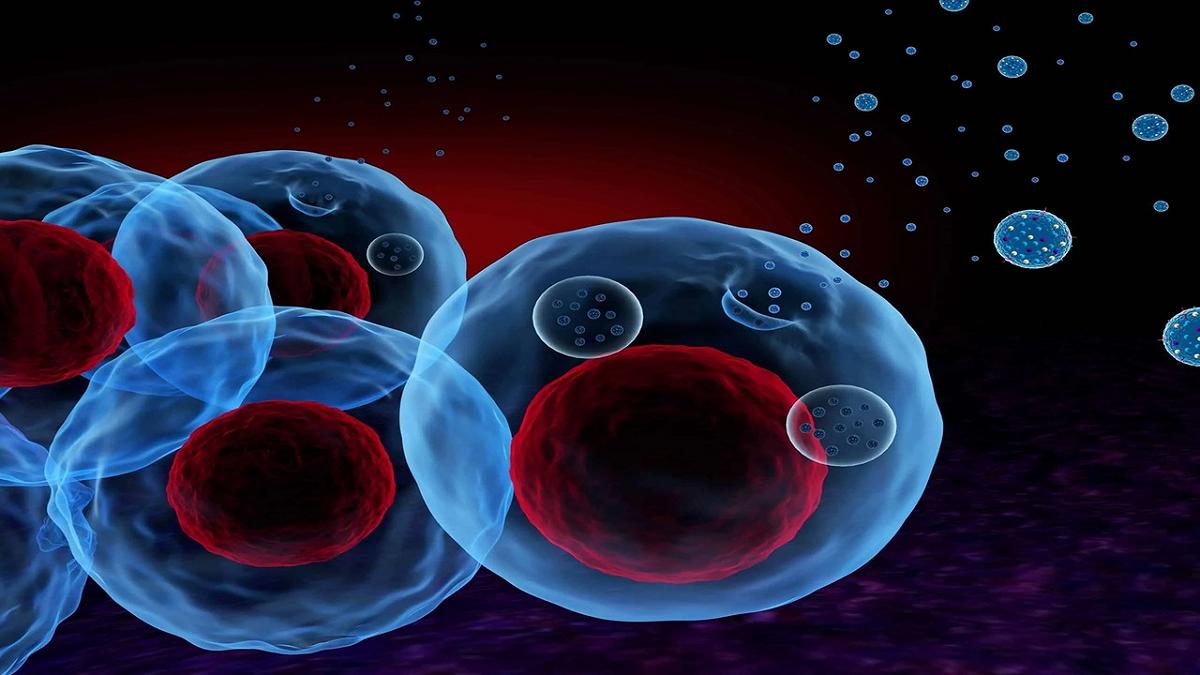 Molecole incapsulate in 10 minuti: la rivoluzione della medicina di precisione