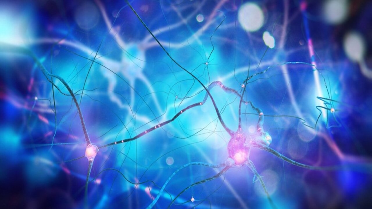 Terapie future contro la SLA? Tutto ruota attorno al gene UNC13A