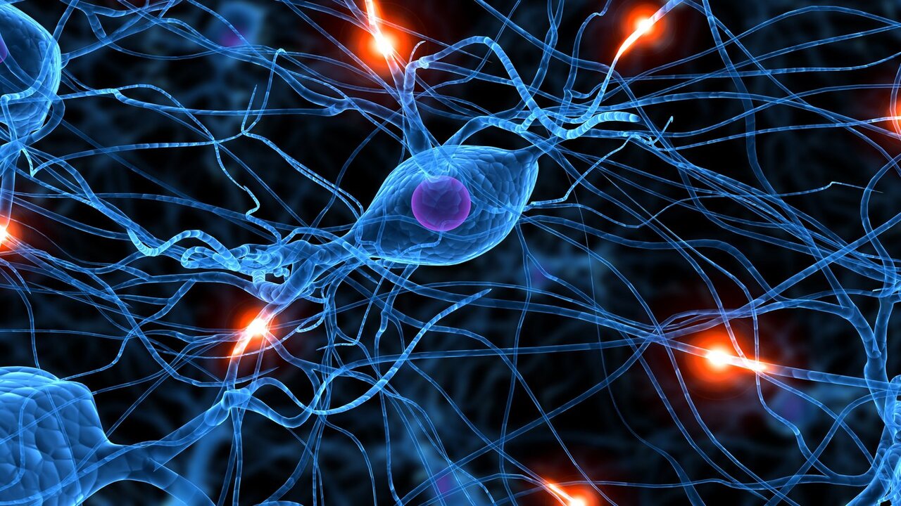 Nuovi dati sul Parkinson: l’intestino diventa il punto di partenza per nuove terapie