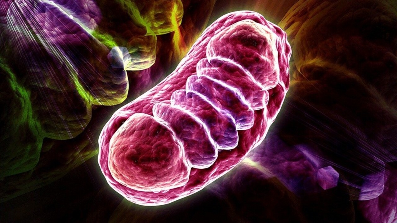 Una scoperta sulla mitofagia riscrive le regole della biologia cellulare