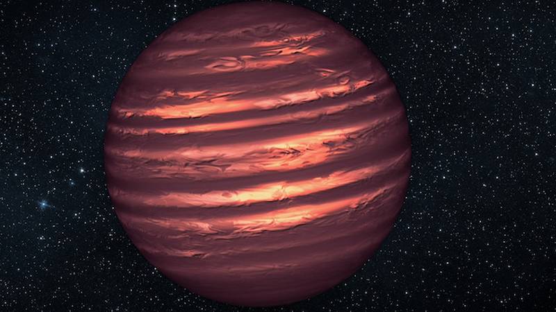 rappresentazione artistica di una nana bruna