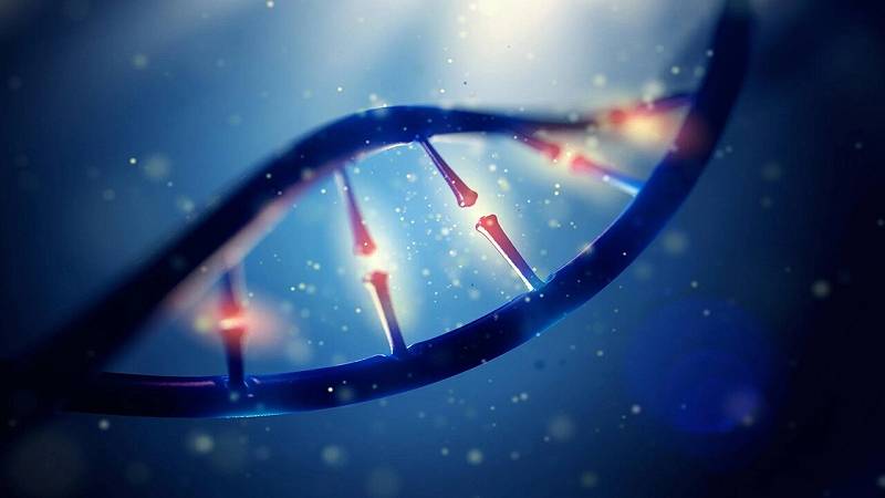 DNA