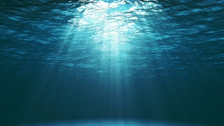 Tracce misteriose sul fondo dell’oceano: riaperto un antico dibattito