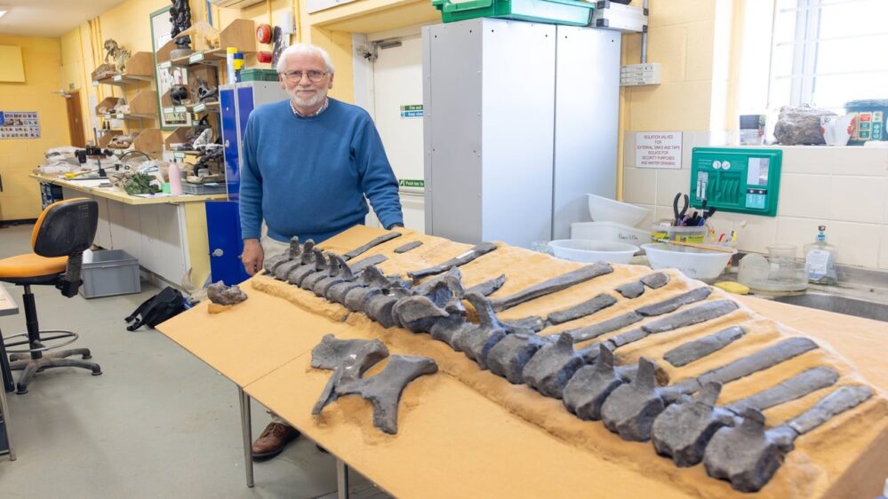 il dinosauro iguanodonte è stato identificato dal dott. Jeremy Lockwood