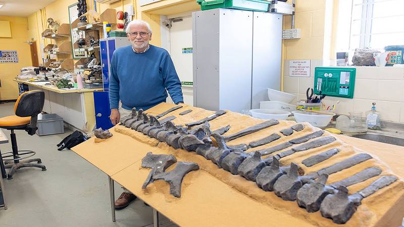 il dinosauro iguanodonte è stato identificato dal dott. Jeremy Lockwood
