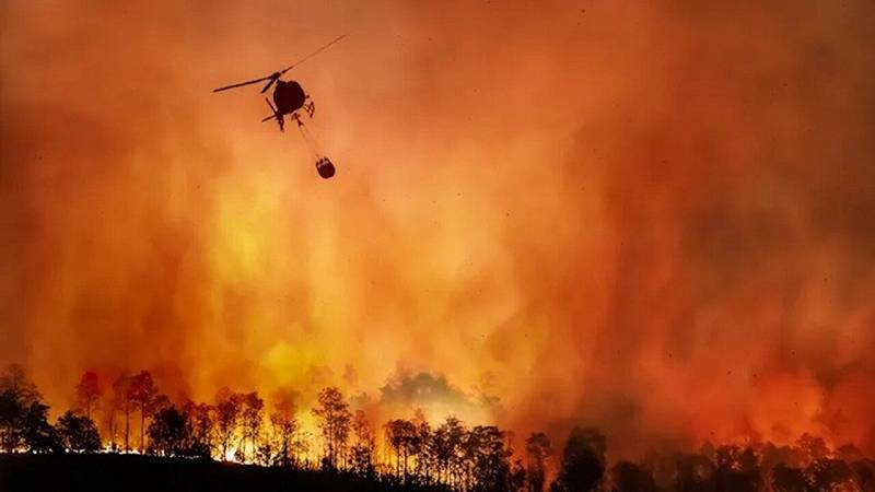 incendi boschivi