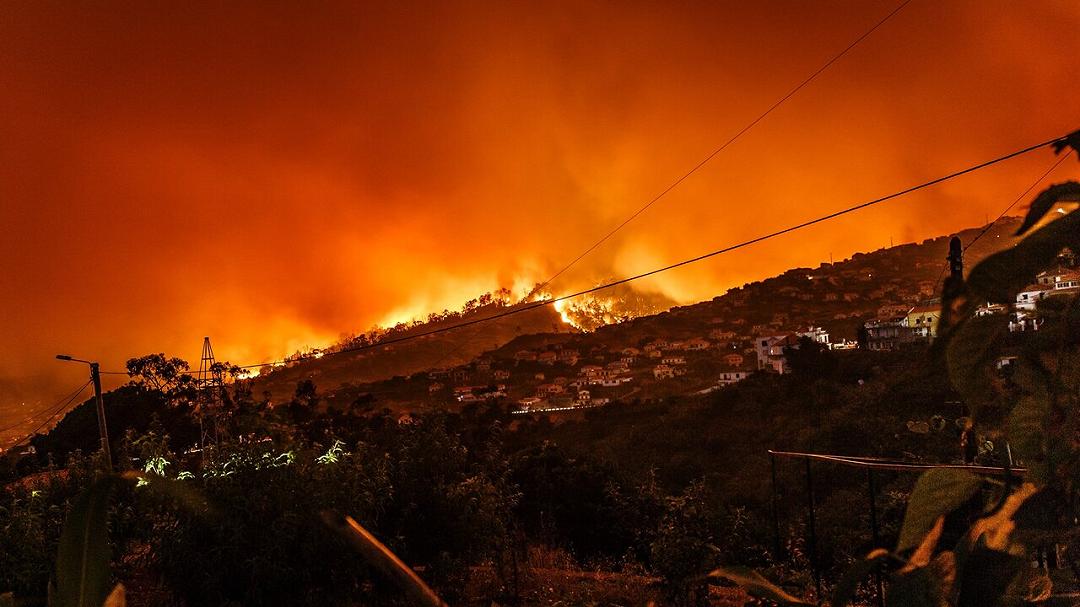 Uno studio svela un aumento della mortalità dopo gli incendi boschivi