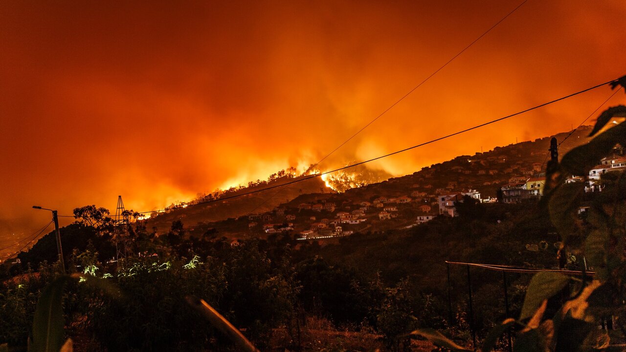 Uno studio svela un aumento della mortalità dopo gli incendi boschivi