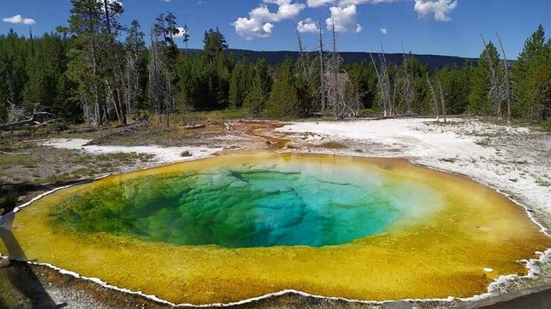 la reazione RNA-amminoacido potrebbe essersi verificata in laghi e piscine ricche di nutrienti sulla Terra primordiale
