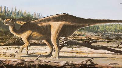 Scoperta una nuova specie di dinosauro con una struttura sorprendente sulla schiena