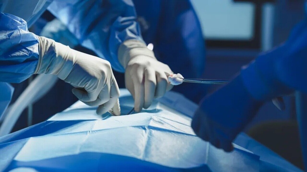 Trapianto di polmone da maiale a uomo: la nuova frontiera della medicina rigenerativa