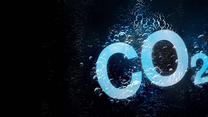 carbonio disciolto