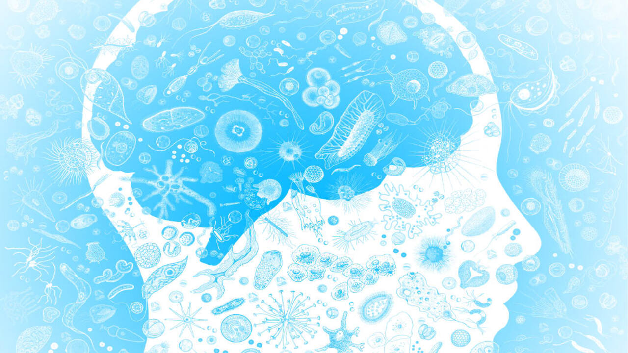 Cosa ci rende coscienti? La risposta potrebbe essere nascosta nelle profondità della nostra evoluzione