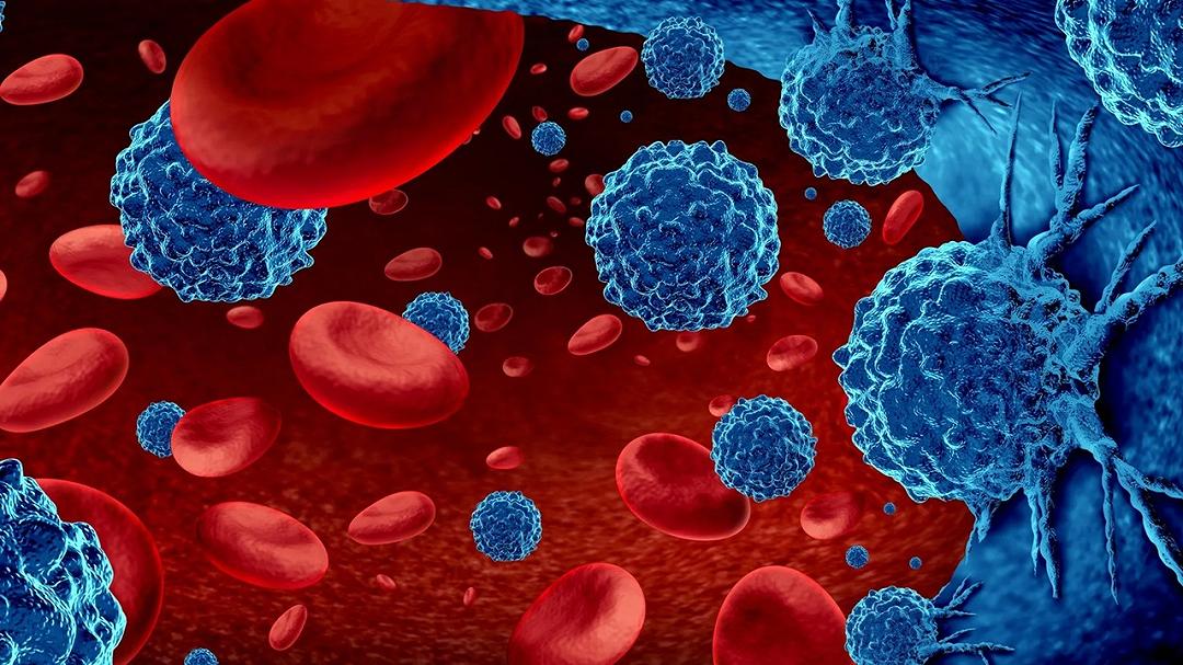 Svelato il ruolo del flusso sanguigno nella crescita tumorale