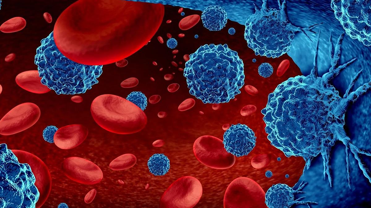 Svelato il ruolo del flusso sanguigno nella crescita tumorale
