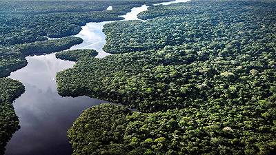 Cambiamento climatico: gli alberi dell’Amazzonia stanno crescendo più del previsto