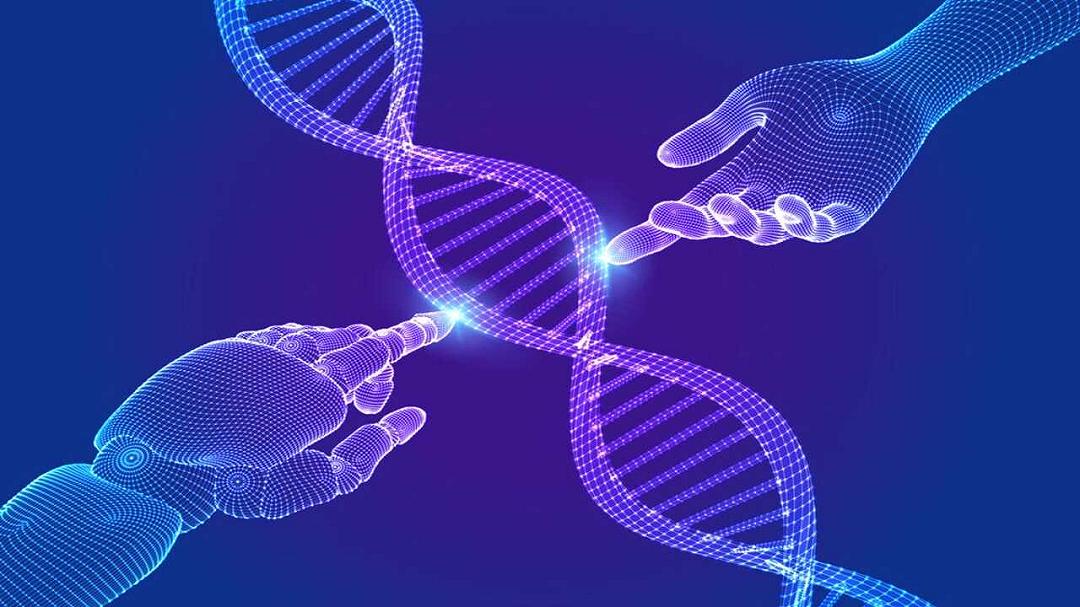 L’intelligenza artificiale potrebbe cambiare il modo in cui leggiamo il genoma umano