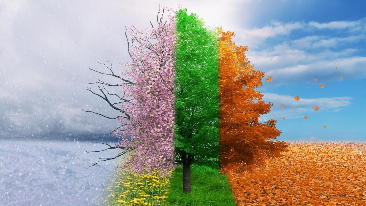 Svelate le variazioni stagionali del carbonio disciolto: cosa significa per il clima