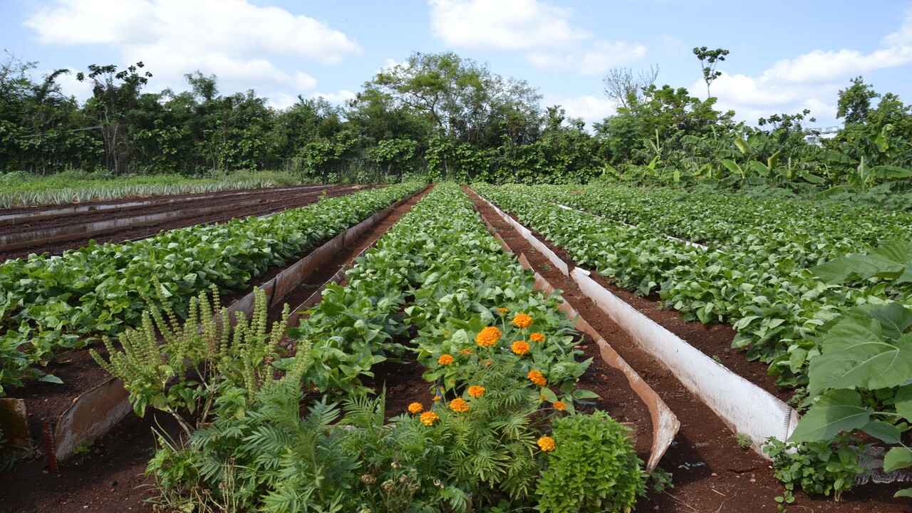 comunità agricole