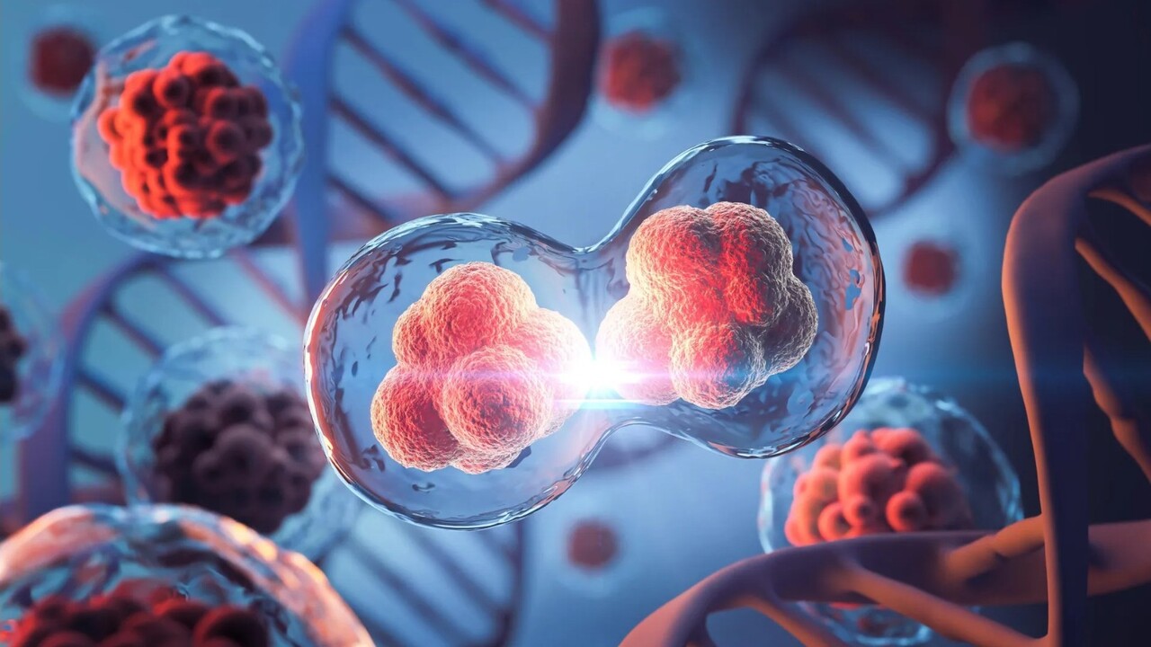 Il genoma 3D non si dissolve: il MIT ridefinisce i paradigmi della biologia molecolare