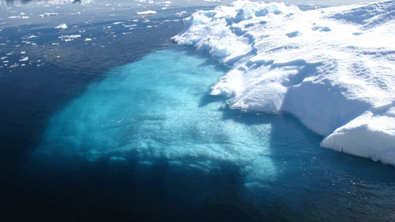 Nuove forme di vita sotto il ghiaccio artico: il clima non sarà più lo stesso