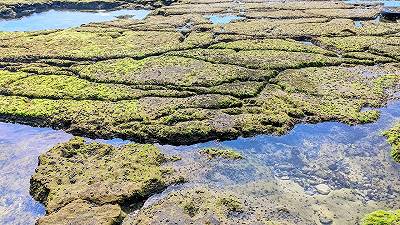 I microbi emergono dal ghiaccio: il permafrost racconta una storia lunga 40.000 anni