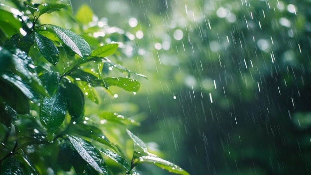 Cambiamenti climatici e piogge estreme: cosa sta accadendo sulle vette del Kerala