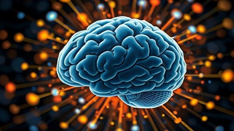 tecniche avanzate di apprendimento automatico per studenti