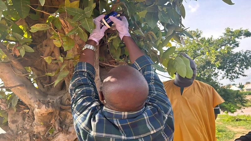 utilizzo di campionatori passivi d'aria a mercurio (MerPAS) per misurare le concentrazioni di mercurio elementare gassoso