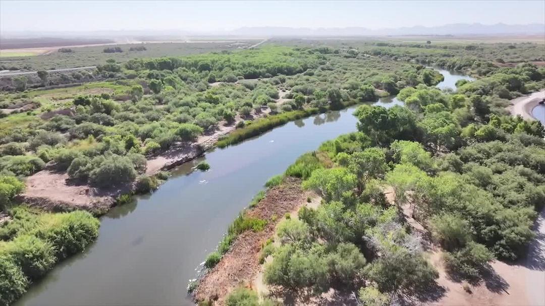 Un equilibrio fragile tra elementi naturali regola la vita nei bacini monsonici