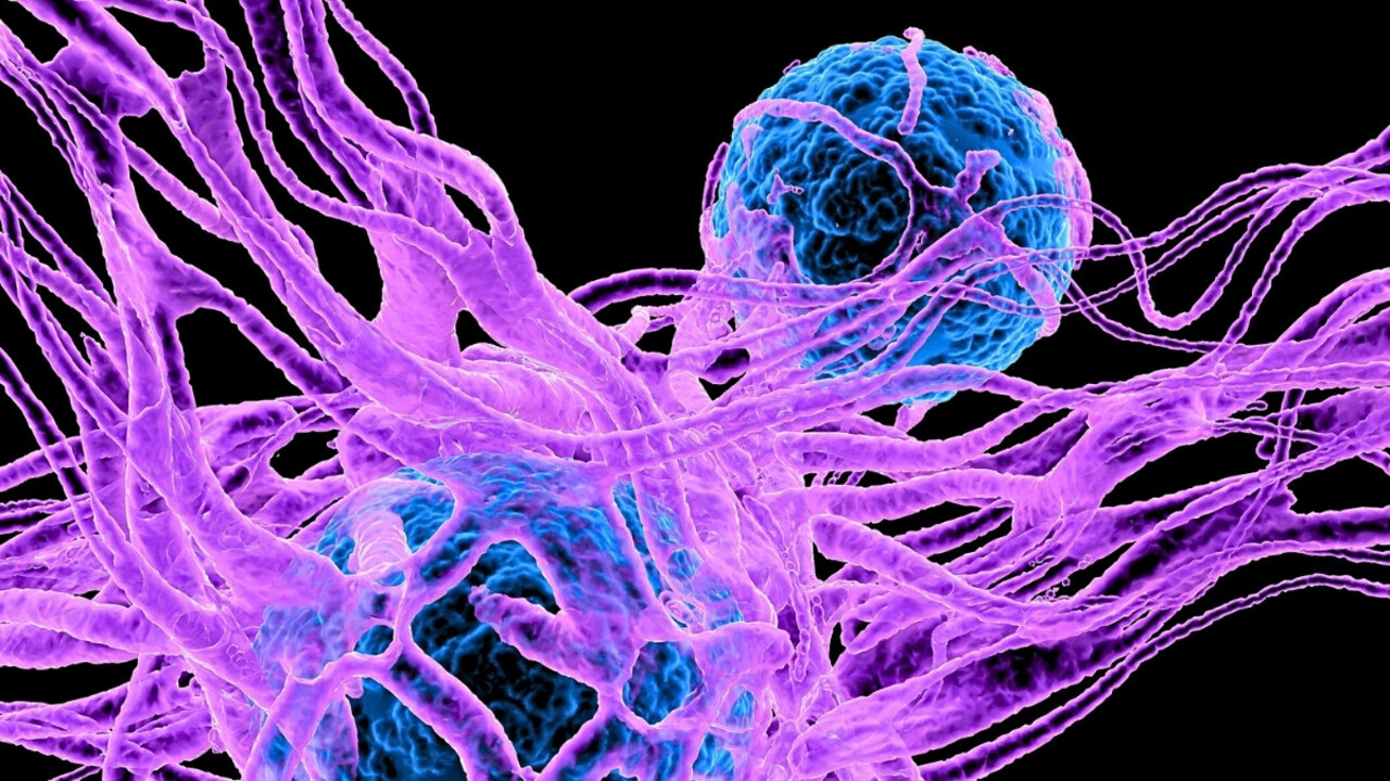 Indagato un possibile legame tra serotonina e cellule tumorali