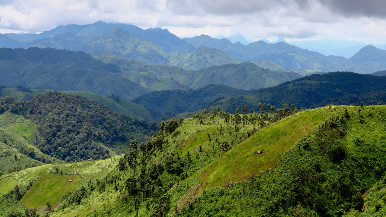 Coltivazione itinerante in trasformazione: un equilibrio tra cicli e resilienza