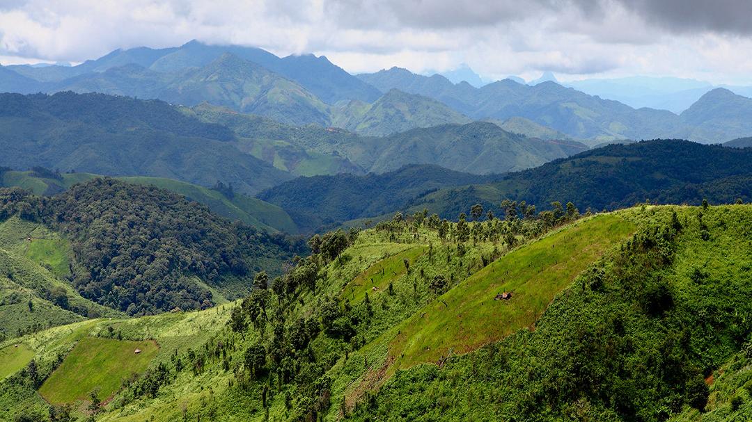 Coltivazione itinerante in trasformazione: un equilibrio tra cicli e resilienza