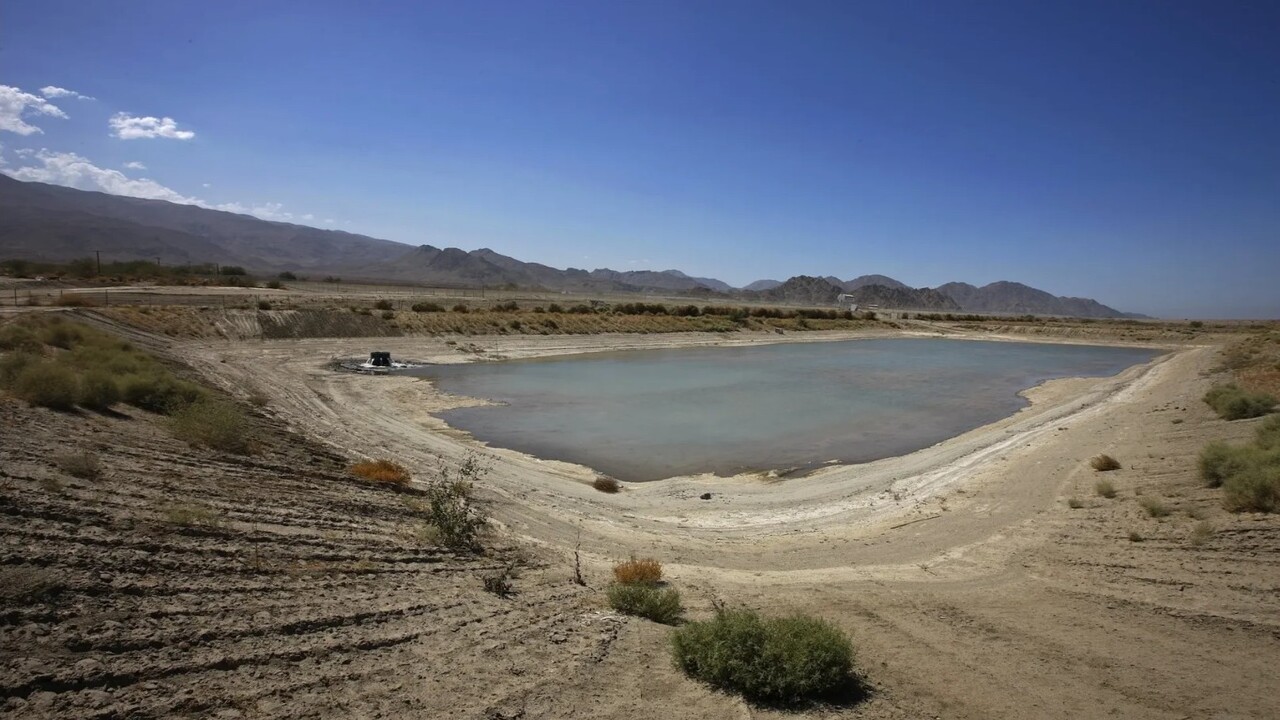 Salinità e rischio ecologico: cosa ci dicono le falde acquifere delle zone semiaride
