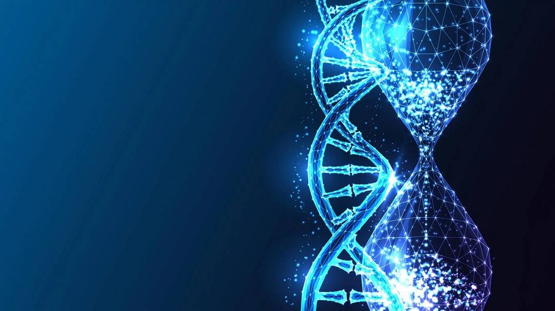 Un verme rivela un trucco genetico sorprendente per la longevità