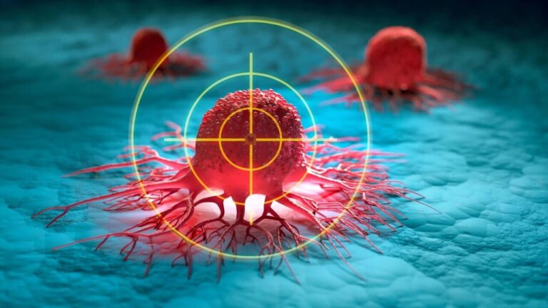 Tumori, una nuova strategia risveglia le cellule T esauste e rafforza l’immunoterapia