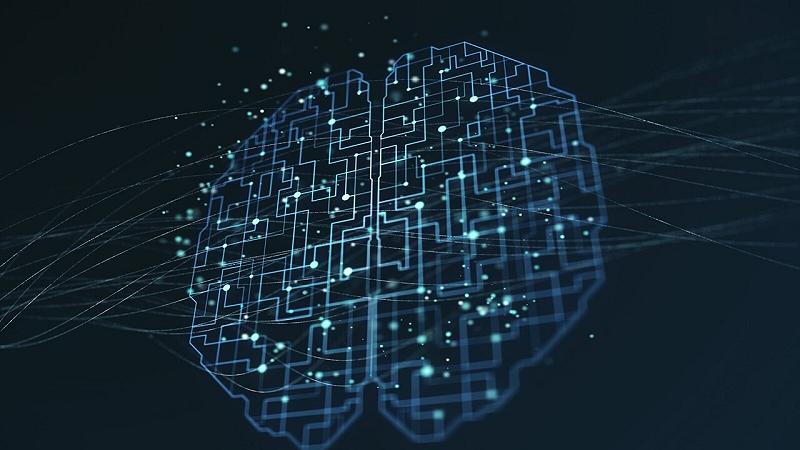 il deep learning rivoluziona il monitoraggio dei salmoni