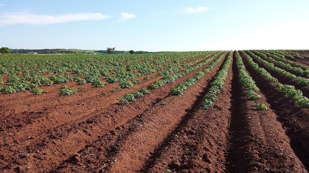Inquinamento invisibile del suolo: la nuova sfida ambientale dell’Europa