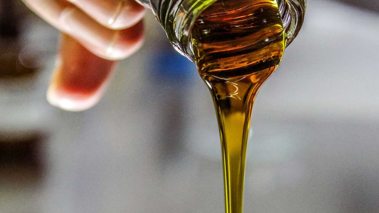 l'olio di soia contribuisce all'obesità